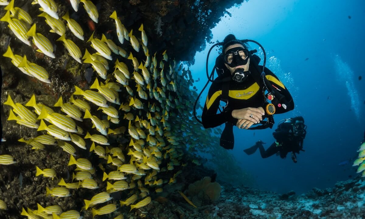 Hurghada red sea tourism 2026
